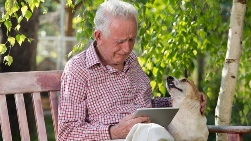 собака и пожилой человек